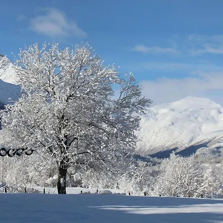 ホテル Phillipshaugen Øksendalsøra