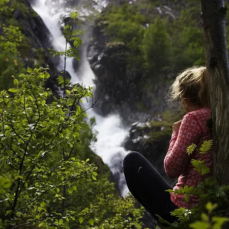 Phillipshaugen * Øksendalsøra